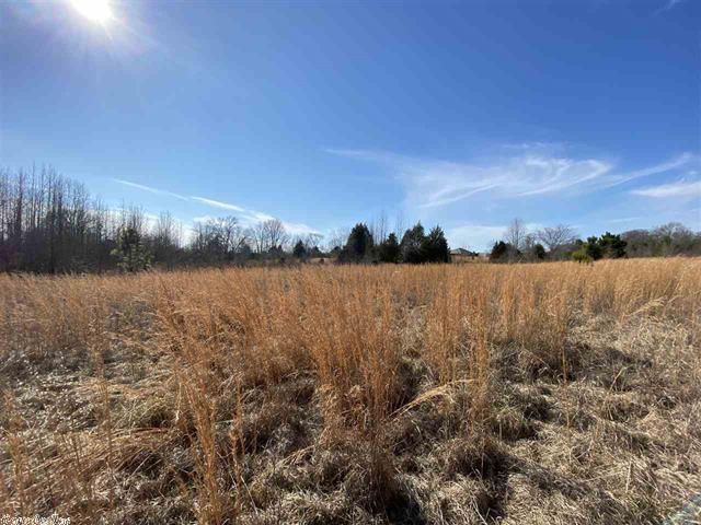 00 SE German Ln, Conway, AR 72032